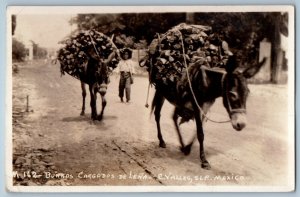 Ciudad Valles SLP Mexico Postcard Burros Cargos de Lena 1909 RPPC Photo