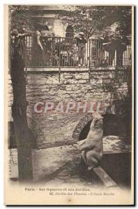 Old Postcard Bear Paris Garden plants L & # 39ours Martin