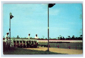 Vintage Voulusia County Kennel Club, FL. Postcard F114E