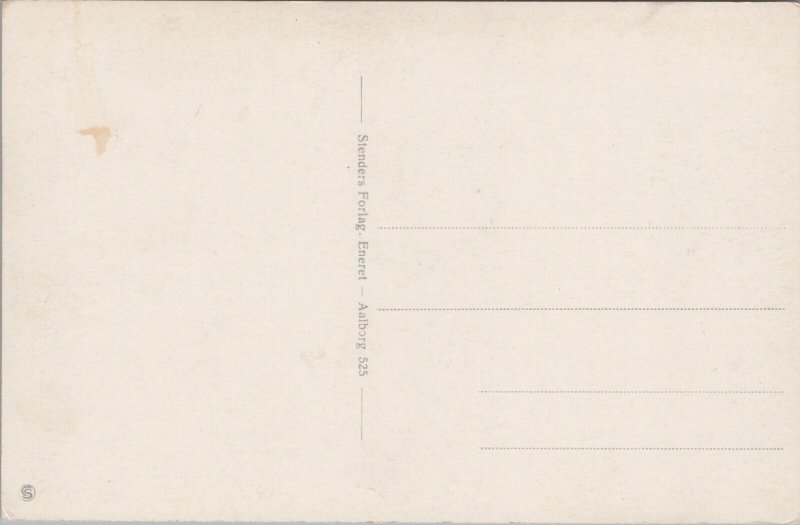 Denmark Udsigt over Aalborg Vintage Postcard 09.70