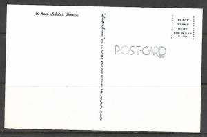 Massachusetts - A Real Lobster Dinner - [MA-286]