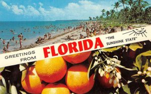 Greetings From FLORIDA Sunshine State Oranges 1968 Vintage Postcard