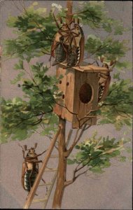 Beetle Bug Fantasy Tree House Ladder Romance c1900 UDB Postcard EXC COND