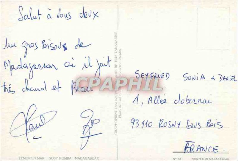 Modern Postcard Madagascar Lemur Lemur Monkey