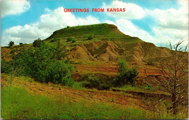 Greetings From Kansas Flower Pot Mound Medicine Lodge KS Postcard VTG UNP Koppel 