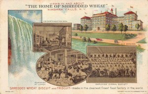 SHREDDED WHEAT BISCUIT NIAGARA FALLS NEW YORK ADVERTISING POSTCARD (1913)