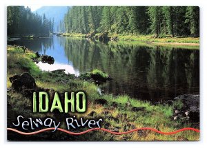 Idaho Selway River Postcard Continental Scenic View Card