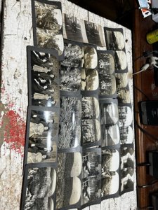 COLLECTION LOT OF 66 VERY OLD VINTAGE STEREOVIEW CARDS STEREO VIEW PHOTOS