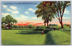 Pre-Historic Mounds Newark Ohio OH General View Wide Grounds And Trees Postcard