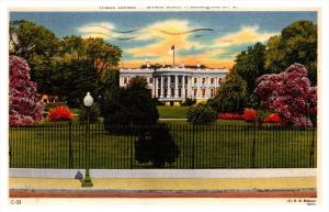 10711  Washington D.C,  White House, South side