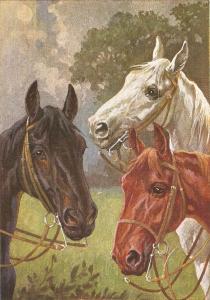 Three racing horses Nice antique German postcard