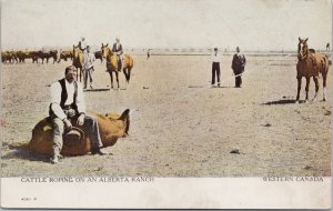 Cattle Roping Alberta Ranch Horses Ranching Western Canada Cowboys Postcard G86