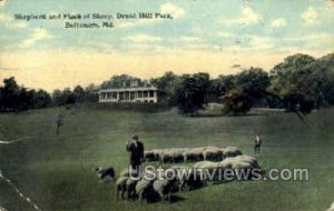Shepherd & Flock of Sheep - Baltimore, Maryland MD Postcard