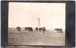 Cattle Farm Raising Dairy Production Tower Mill Postcard