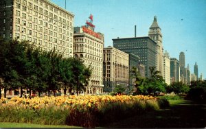 Illinois Chicago Michigan Boulevard Looking North