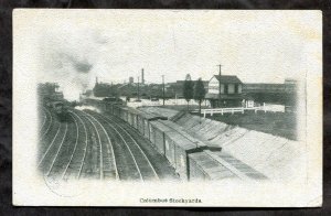 dc705 - COLUMBUS Ohio 1908 Stockyards. Railroad. Postcard