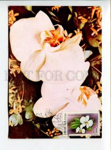 422225 ROMANIA 1990 year flowers orchid maximum card