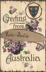 Gold Fields Australia Feather Novelty  Embossed c1910 Postcard