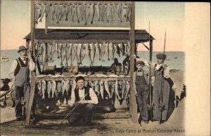 Avalon Catalina Island CA Fishing Catch California Sardines Advertising Postcard