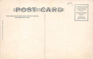 West Seattle Ferry & Paddle Boats Ship Unused 