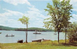 CRYSTAL FALLS-IRON RIVER MICHIGAN BE WA BIC PARK~SWIM~BOAT~CANOE POSTCARD 1963