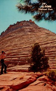 Utah Zion National Park Checkerboard Mesa