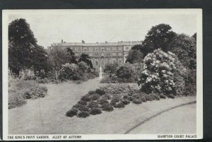 Middlesex Postcard - The King's Privy Garden, Hampton Court Palace  T3152