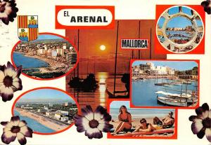 BF1685 mallorca el arenal   Spain