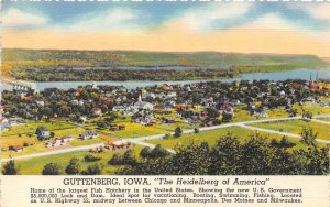 Guttenberg Iowa Panorama The Heidelberg of America linen postcard