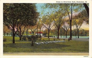 KANKAKEE, Illinois IL   RIVERVIEW PARK  Lagoon~Pavilion~Trees  ca1940's Postcard