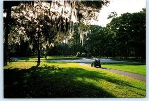 HILTON HEAD ISLAND, SC ~ 7th Green HARBOUR TOWN GOLF COURSE 4x6 Postcard 1993