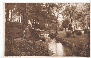 Derbyshire Postcard - Serpentine Walks - Buxton    ZZ3191