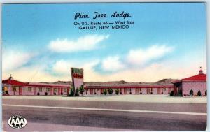 GALLUP, New Mexico  NM   Roadside  PINE TREE LODGE  Route 66  1957  Postcard