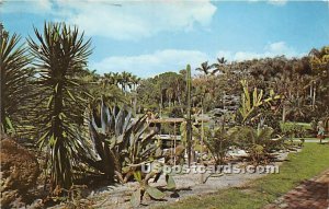 Cactus Garden - Sarasota, Florida FL  