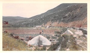 At River Nahr-az-Zarga Ar Rumman Jordan Non Postcard Backing 