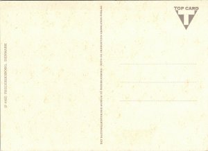 Fountain Frederiksborg Denmark Postcard Top Card UNP Chrome