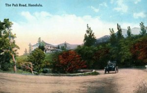 C.1910 The Pali Road, Honolulu, Hawaii & South Seas Curio Co. Postcard P184 