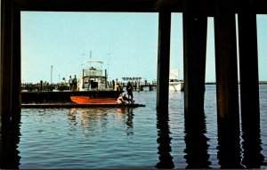 Maryland Ocean City Fishing On Catwalk Below The U S Highway 50 Bridge