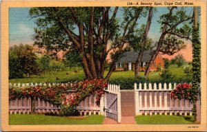 Massachusetts Cape Cod A Beauty Spot Curteich