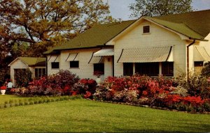 Mississippi McComb Beautiful Azaleas In Bloom