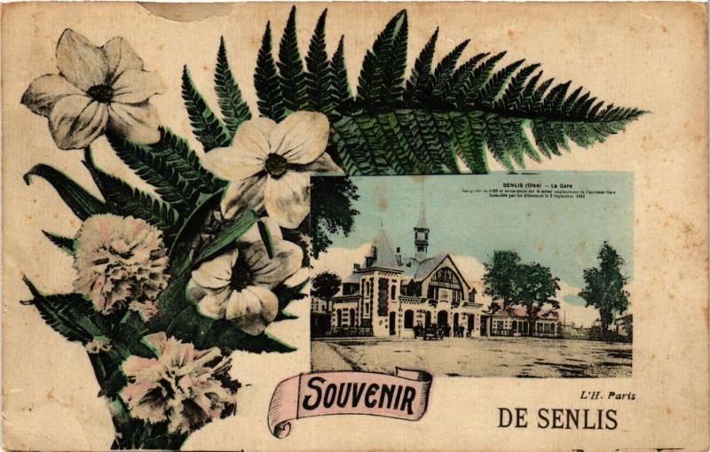 CPA Souvenir de SENLIS (423830)