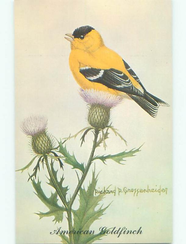 Unused Pre-1980 signed AMERICAN GOLDFINCH BIRD ON FLOWERS k8381