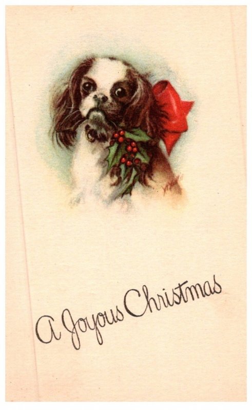 Dog ,   Christmas Greetings