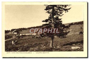 Old Postcard The High Grass stubble Martin