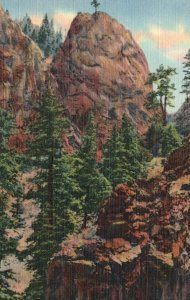 Vintage Postcard 1930's Lonesome Pine South Cheyenne Canyon Colorado Springs CO