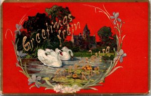 Scenic View of Swans, Greetings From Greensburg KS Vintage Postcard S56