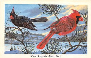 Cardinal, State Bird, WV