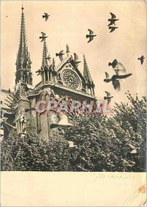 Modern Postcard Pigeons Notre Dame