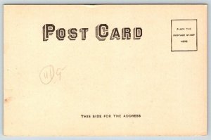 Native American Sioux Chief Rain in the Face  Postcard