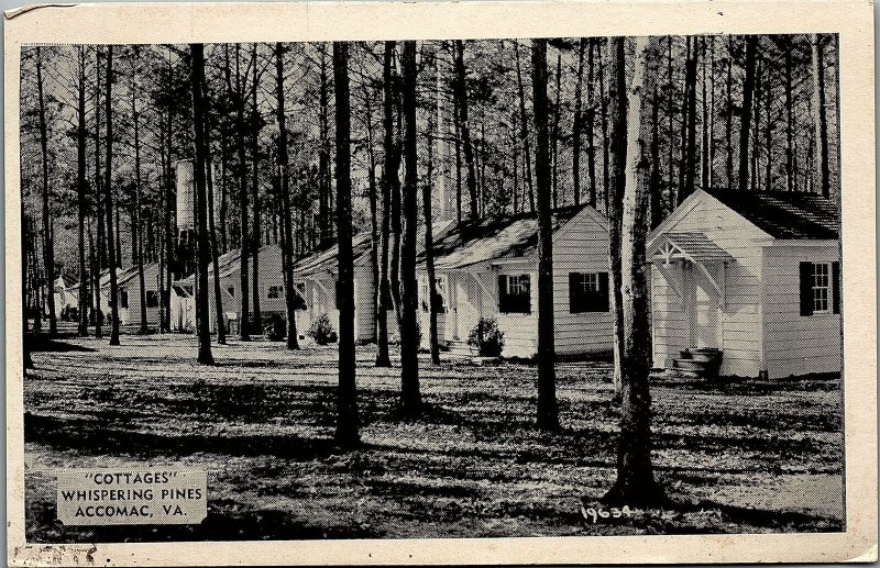 c1920 ACCOMAC VIRGINIA COTTAGES WHISPERING PINES  POSTCARD 14-132 